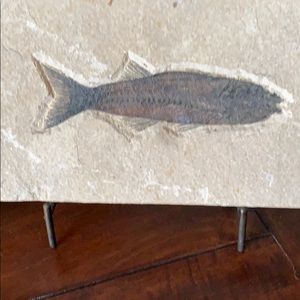 Meet your Posher, Carrie